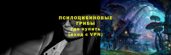 Альфа ПВП Богородицк